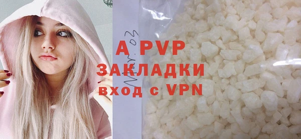 сатива Аркадак
