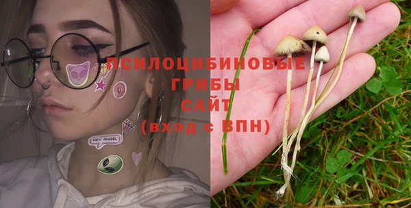 сатива Аркадак