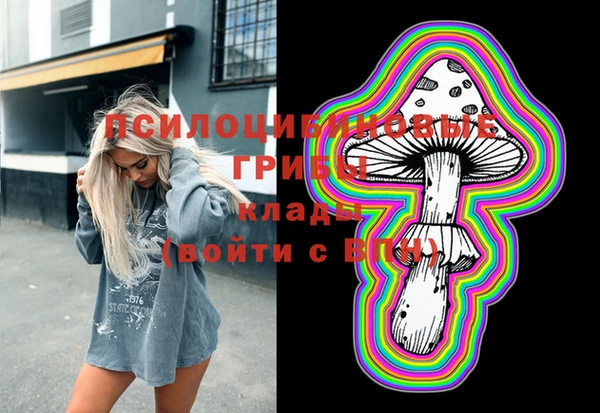 дмт Армянск