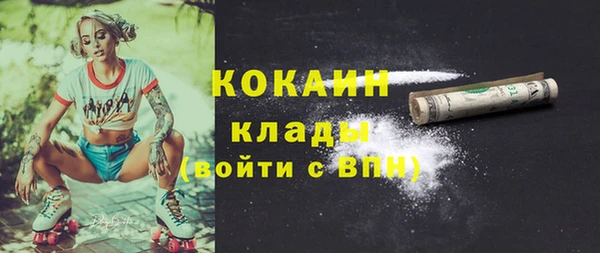 сатива Аркадак
