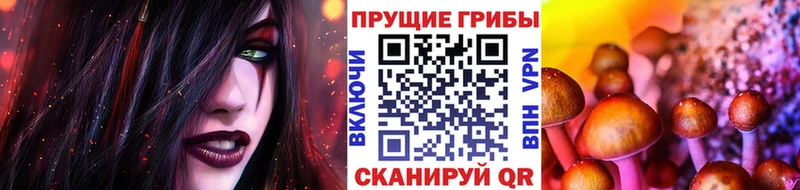 Псилоцибиновые грибы Psilocybine cubensis Бугуруслан